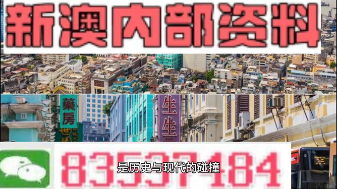 新澳内部一码精准公开,动态说明分析_OP33.807